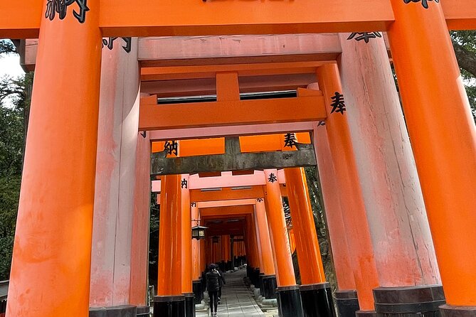 Japan 5 Days Private Tours All Included at Tokyo Osaka Kyoto Nara - Accessibility and Participation