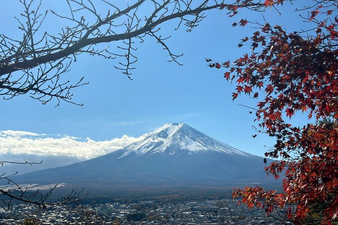 Japan 5 Days Private Tours All Included at Tokyo Osaka Kyoto Nara - Booking Information