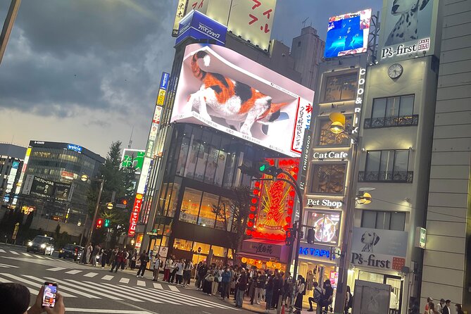 Japan 5 Days Private Tours All Included at Tokyo Osaka Kyoto Nara - Discovering the Wonders of Nara