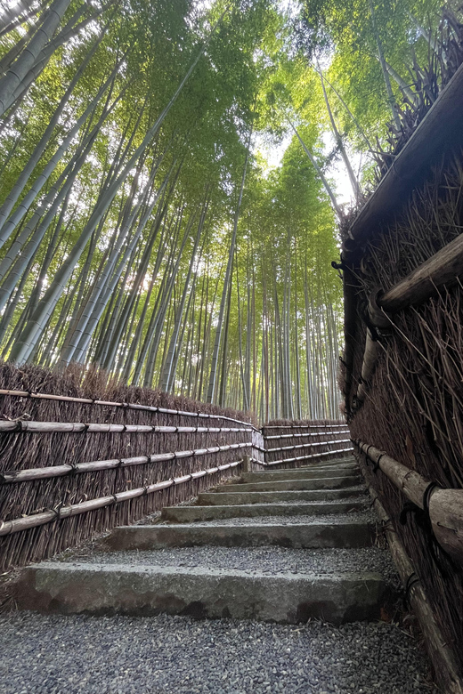 Japan: 6-Day Culinary Tour With Chef in Tokyo & Kyoto - Important Information for Participants