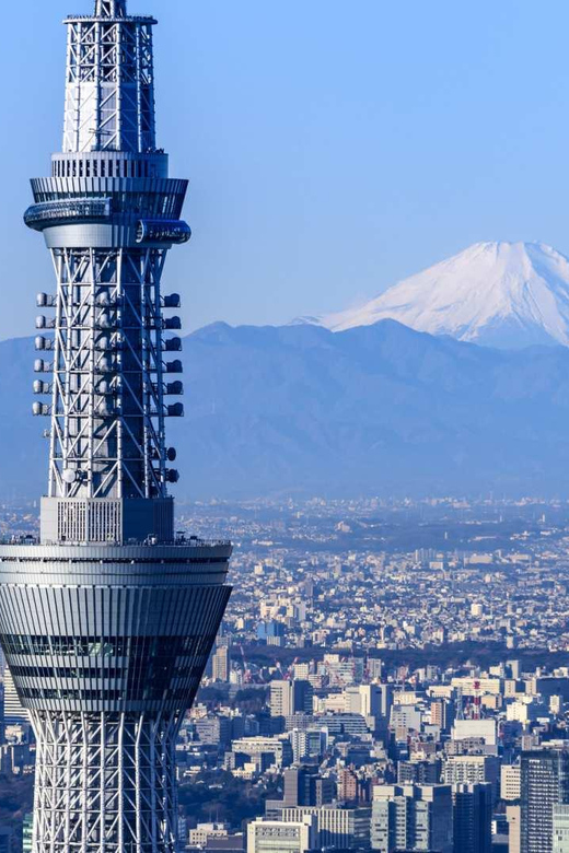 Japan: 7-Day Private Tour With Tokyo, Kamakura, and Osaka - Kamakura