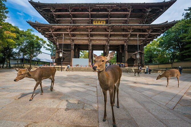 Japan 9 Days Japan Golden Tour - Inclusions