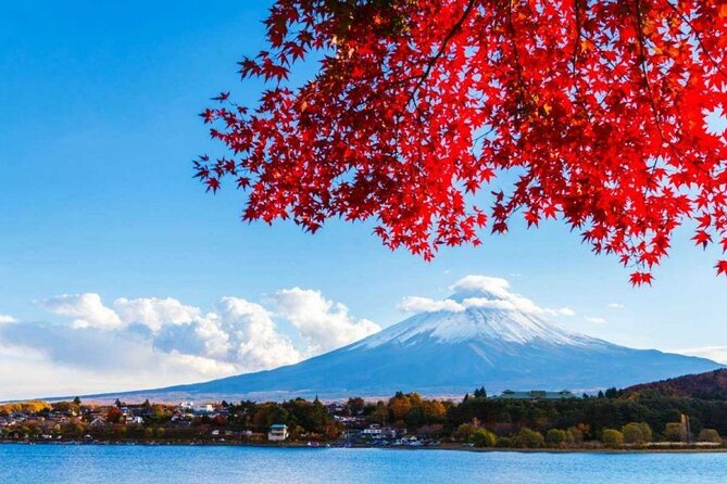 Japan 9 Days Japan Golden Tour - Exclusions