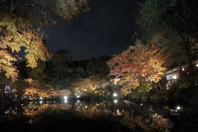 Japan Kyoto Online Tours Virtual Experience - Included in the Tour