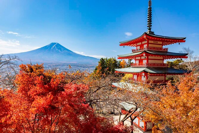 Japan Mount Fuji Tour - Confirmation and Accessibility