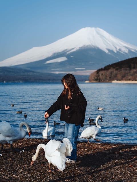 Japan Photography Tour : Iconic Places and Views - Included in the Tour