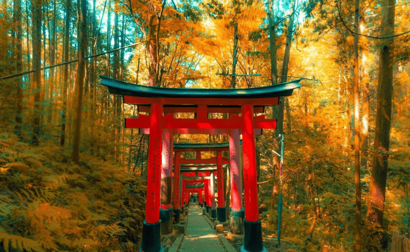 Japan: Private 3, 5, 7, or 10-DAY Tour With Driver - Key Points