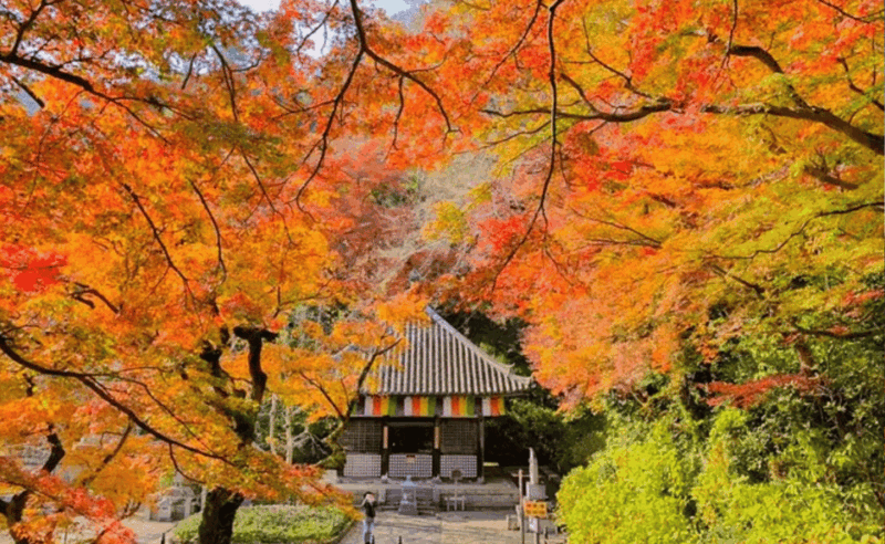 Japan: Private 3, 5, 7, or 10-DAY Tour With Driver - Day 3: Hakone