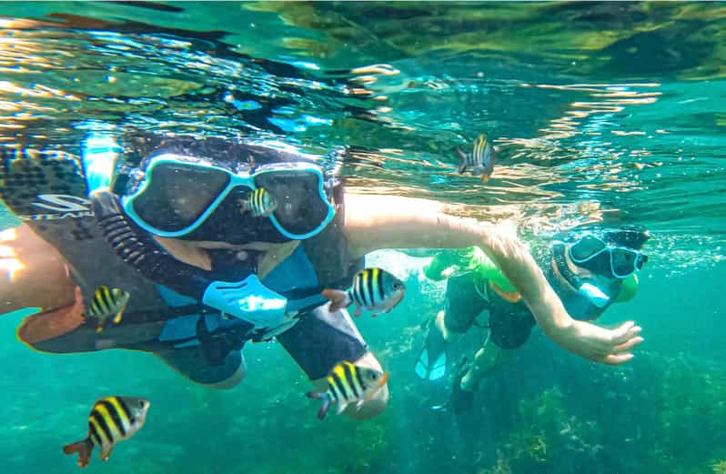 Japan: Snorkeling Adventure on a Boat - Key Points