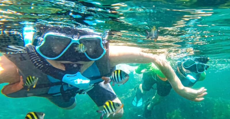 Japan: Snorkeling Adventure on a Boat - Included Experiences