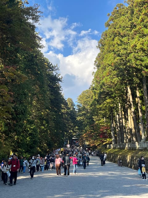 Japan: Tokyo and Countryside Private Tour With Guide - Preparation and Important Information