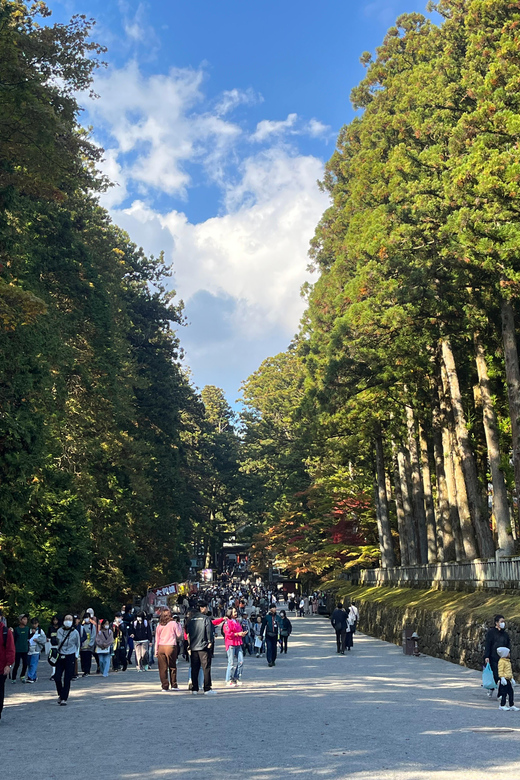 Japan: Tokyo and Countryside Private Tour With Guide - Tour Itinerary