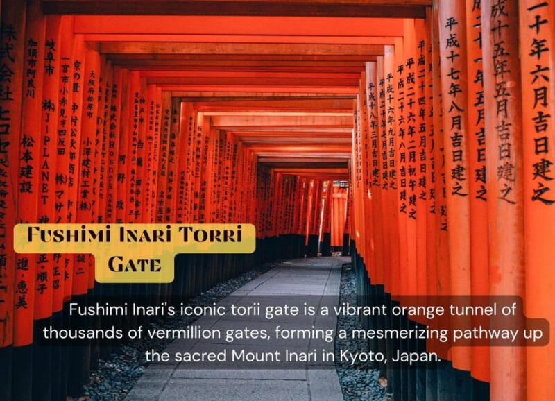 JAPAN Tour: 10-DAY JAPAN TOUR With English Speaking Driver. - Wander Osakas Vibrant City