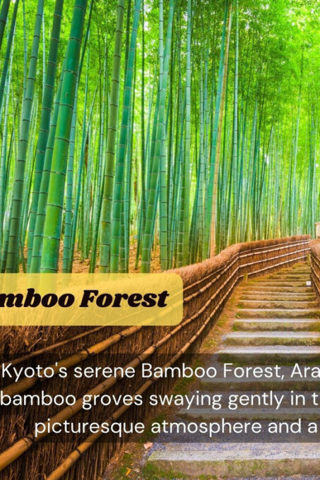 JAPAN Tour: 10-DAY JAPAN TOUR With English Speaking Driver. - Immerse in Kyotos Cultural Gems