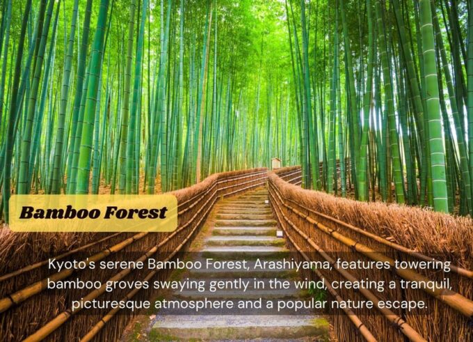 JAPAN Tour: 10-DAY JAPAN TOUR With English Speaking Driver. - Customizing Your Japan Adventure