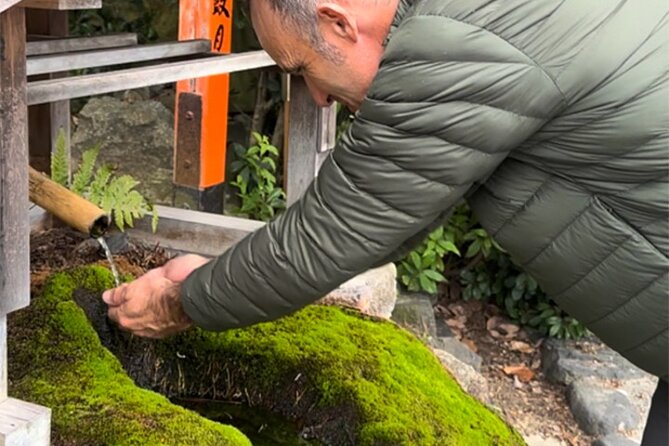 [Japan Wellness] A Tour of Four Springs, Tofu Lunch, and Matcha - Key Points