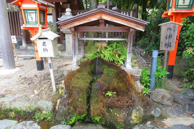 [Japan Wellness] A Tour of Four Springs, Tofu Lunch, and Matcha - Discovering the Art of Matcha