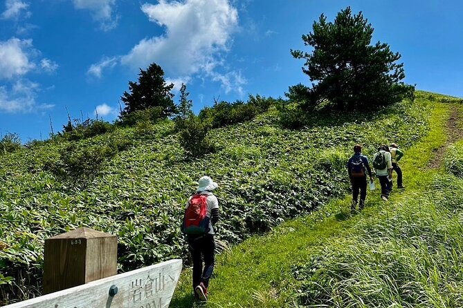 [Japan Wellness] Hiking and Matcha With a Monk in Hiroshima - Matcha Preparation and Meditation