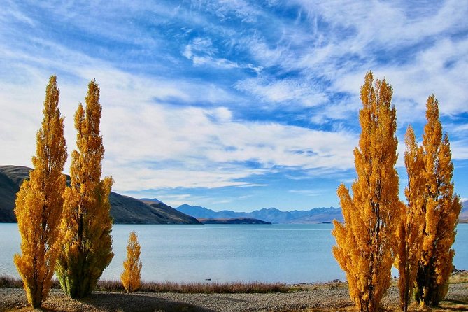[Japanese Guide] Christchurch-Lake Tekapo Special Pick-up Plan - Highlights and Attractions