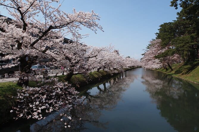 Japanese Local Life Experience - Booking and Cancellation Policy