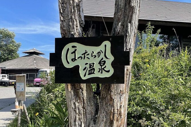 Japanese Wine and Onsen Tour Experience in Yamanashi Japan - What to Expect