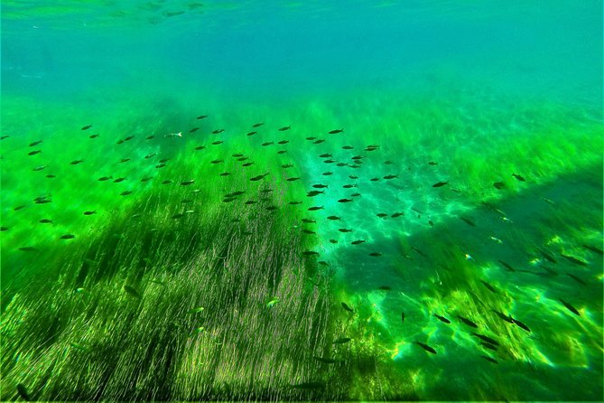 Japan's No. 1 Water Quality National Lake Shikotsu, Hokkaido's First Landing Clear Kayak Tour Difficulty Level (Medium) - Meeting Point and Pickup