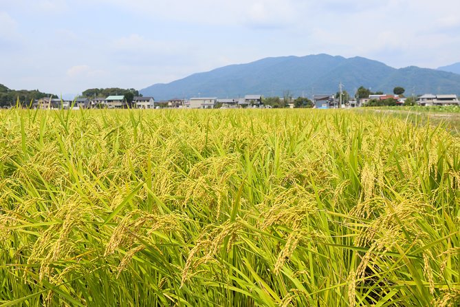 Japans Rural Life & Nature: Private Half Day Cycling Near Kyoto - Private Tour and Exclusivity
