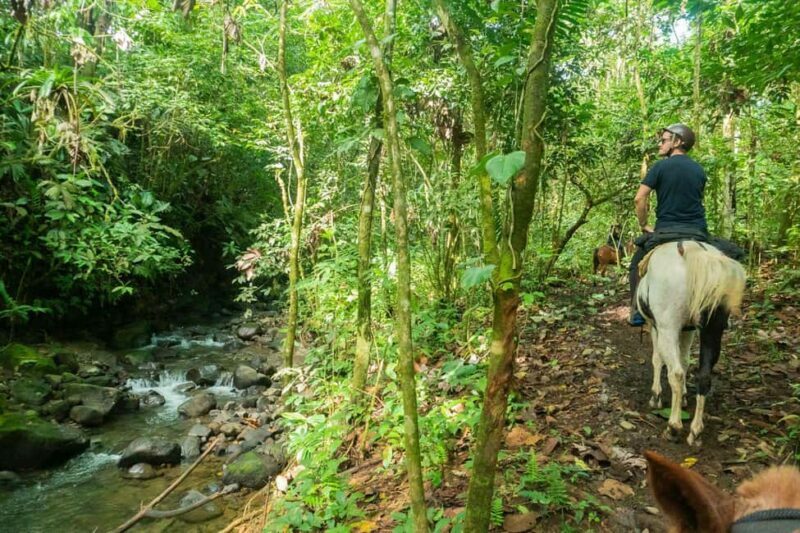 Jarabacoa: Private Baiguate Waterfall Horseback Riding Tour - The Value of the Experience