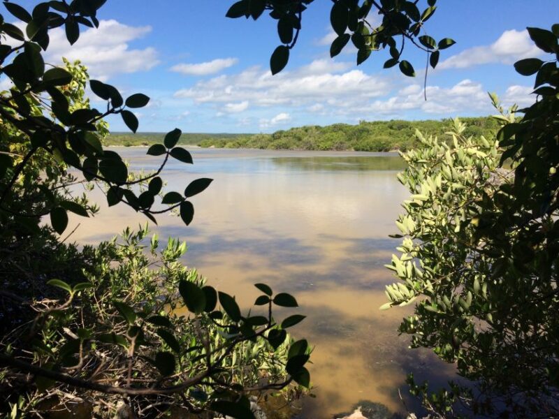 Jaragua National Park: Explore Laguna De Oviedo - Flora, Fauna, and Birdwatching