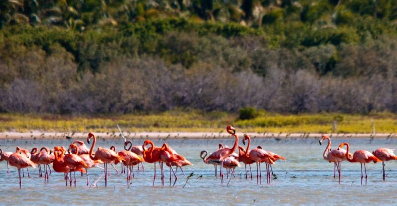 Jaragua National Park: Explore Laguna De Oviedo - Transportation and Tour Guide