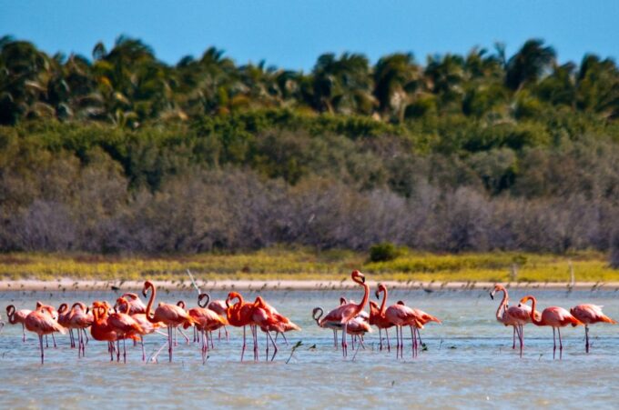 Jaragua National Park: Explore Laguna De Oviedo - Frequently Asked Questions