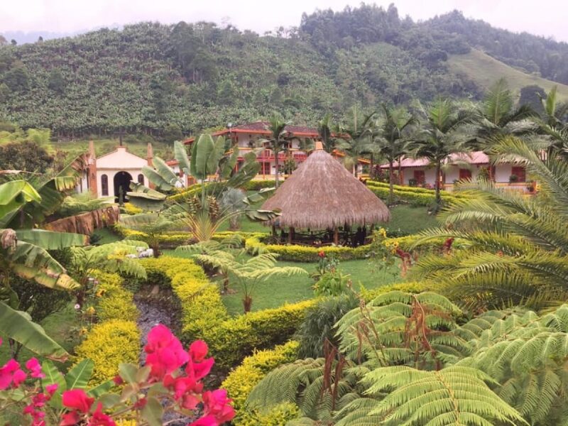 Jardin and Coffee Plantation Tour - Coffee Experience