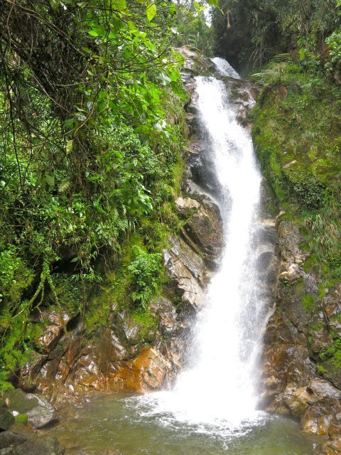 Jardin Coffee Lovers Private Tour - Experience Highlights