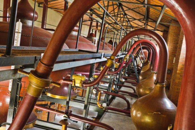 Jarnac: Braastad Cognac Discovery Tour - Customer Reviews