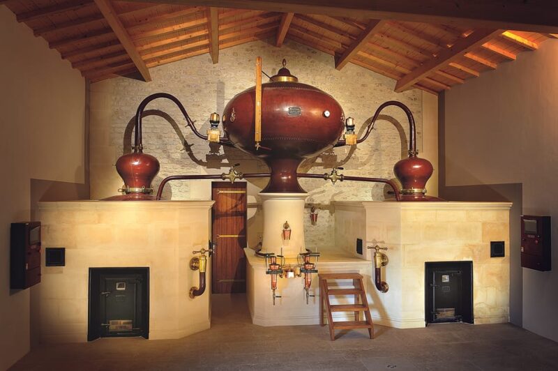 Jarnac-Champagne: Tour at Château Montifaud Cognac ENG - Tour Highlights