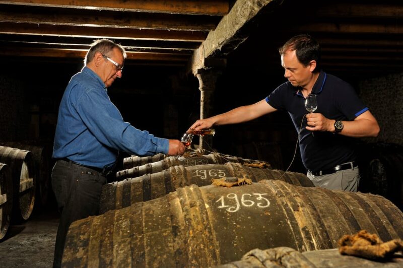 Jarnac-Champagne: Tour at Château Montifaud Cognac - Pineau and Cognac Tasting