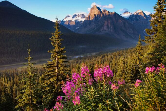 Jasper: Icefields Parkway Self-Guided Driving Audio Tour - Required Gear and Access