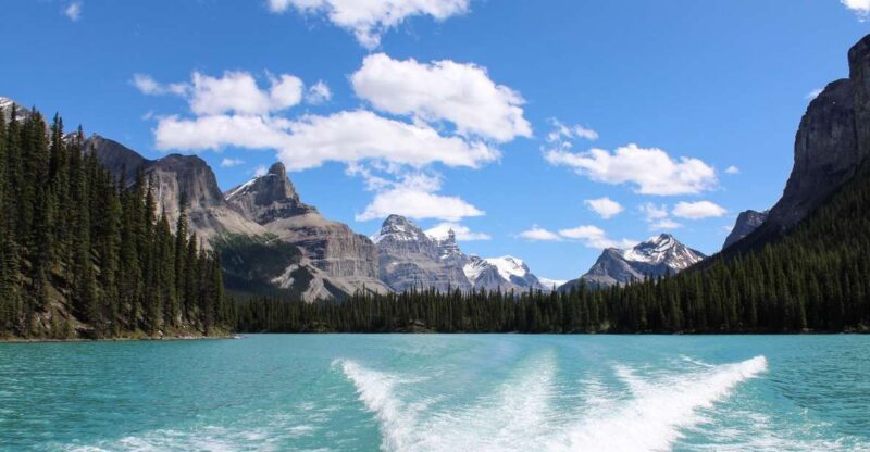 Jasper: Maligne Valley Wildlife Watching & Boat Tour - Activity Highlights
