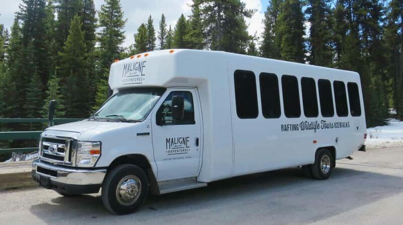 Jasper: Wildlife and Sightseeing Tour with Lakeshore Hike - Key Points