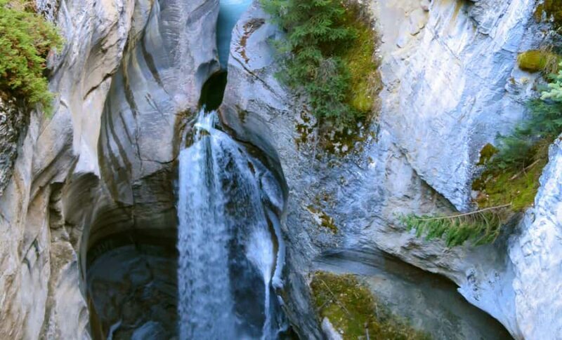 Jasper: Wildlife and Sightseeing Tour with Lakeshore Hike - The Guide and Group Experience