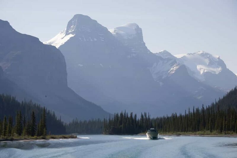 Jasper: Wildlife and Sightseeing Tour with Maligne Cruise - FAQ