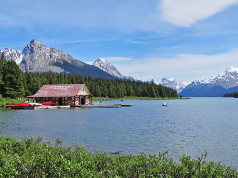 Jasper: Wildlife and Waterfalls Tour With Lakeshore Hike - Cancellation Policy