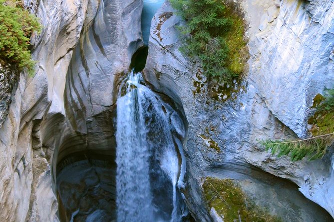 Jasper Wildlife and Waterfalls Tour With Maligne Lake Hike - Highlights of the Tour