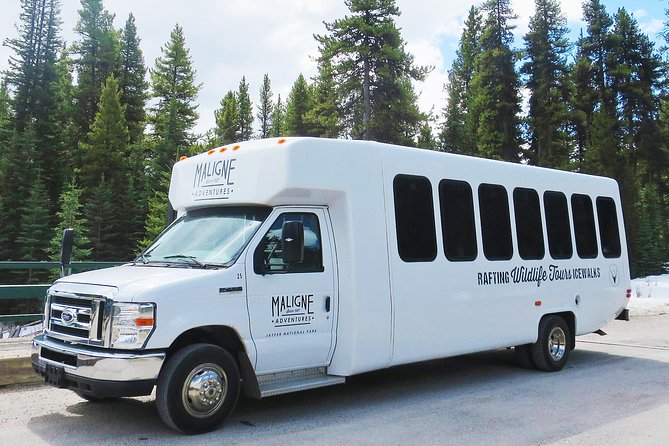 Jasper Wildlife and Waterfalls Tour With Maligne Lake Hike - Meeting and Pickup Details