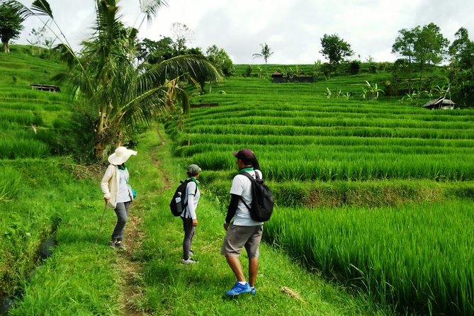 Jatiluwih Full Day E-Bike Cycling With Lunch & Trekking Program - Duration and Schedule