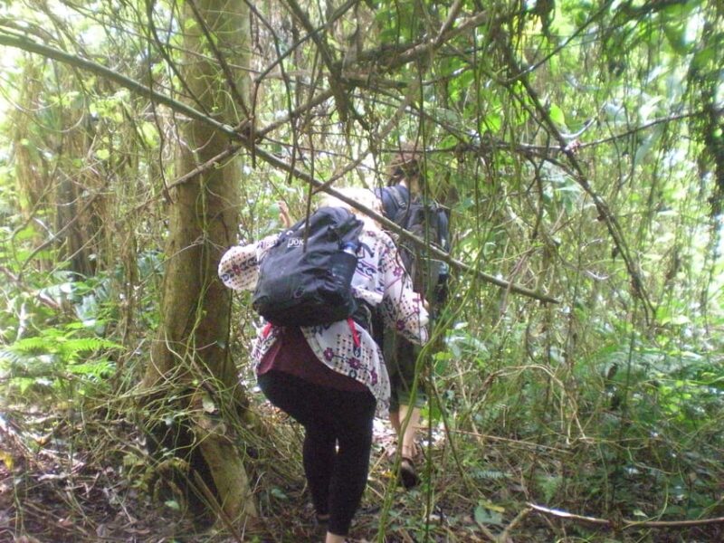 Jatiluwih : Highlights Trekking Best Bali Nature & Cultural - Savoring Authentic Balinese Cuisine