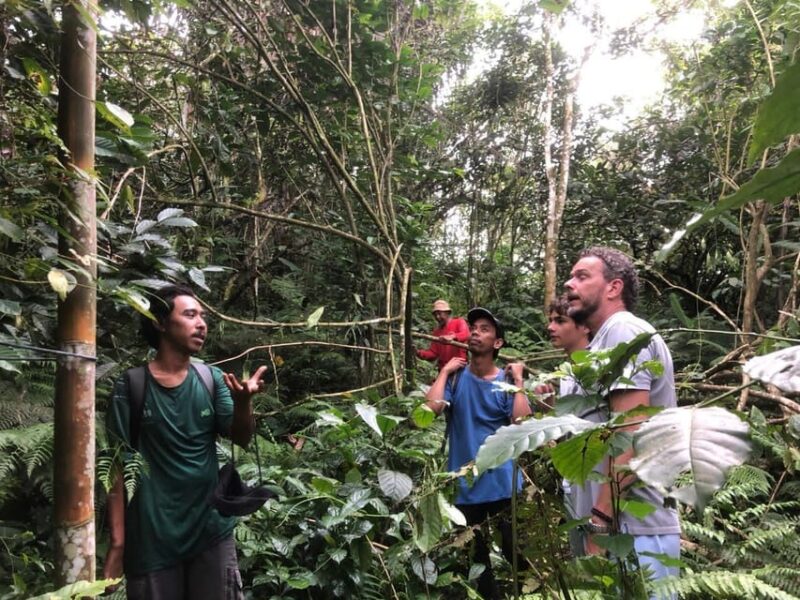 Jatiluwih : Highlights Trekking Best Bali Nature & Cultural - Appreciating Subak Irrigation System