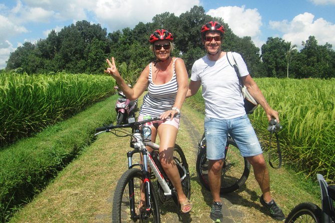 Jatiluwih in Detail (1 H. E-Bike Tour in the Rice Terraces) - Tour Details
