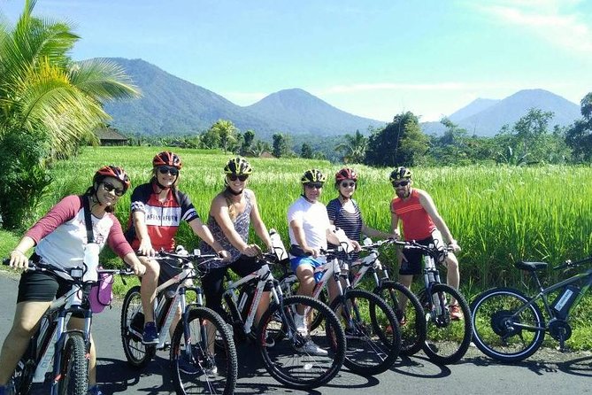 Jatiluwih in Detail (1 H. E-Bike Tour in the Rice Terraces) - Inclusions
