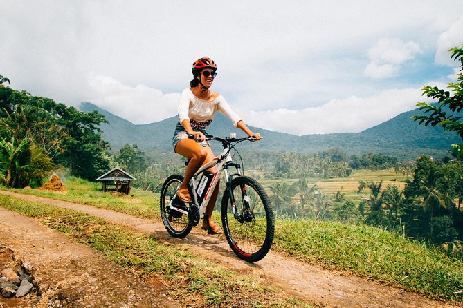 Jatiluwih in Detail (1 H. E-Bike Tour in the Rice Terraces) - Key Points